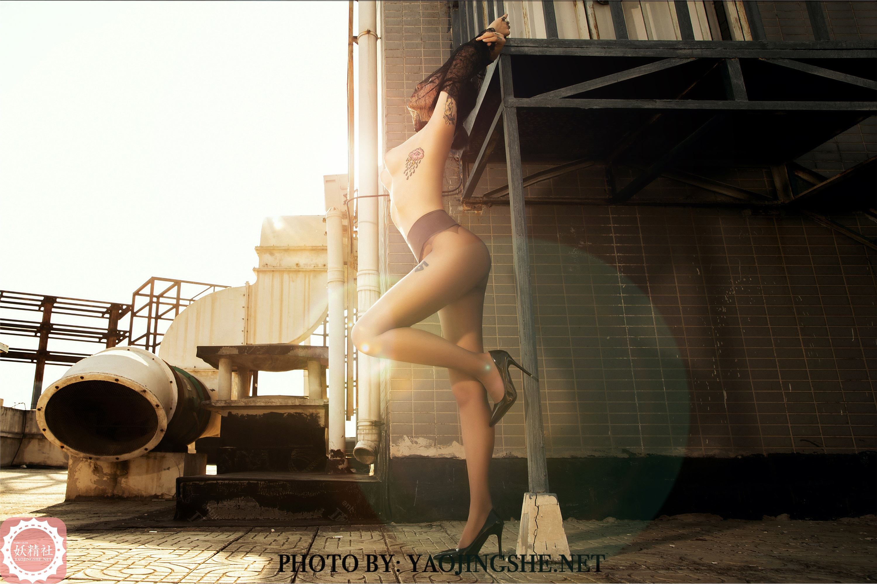 妖精社  2020.01.15 V2003 菊花 《谁困住了我的菊花》